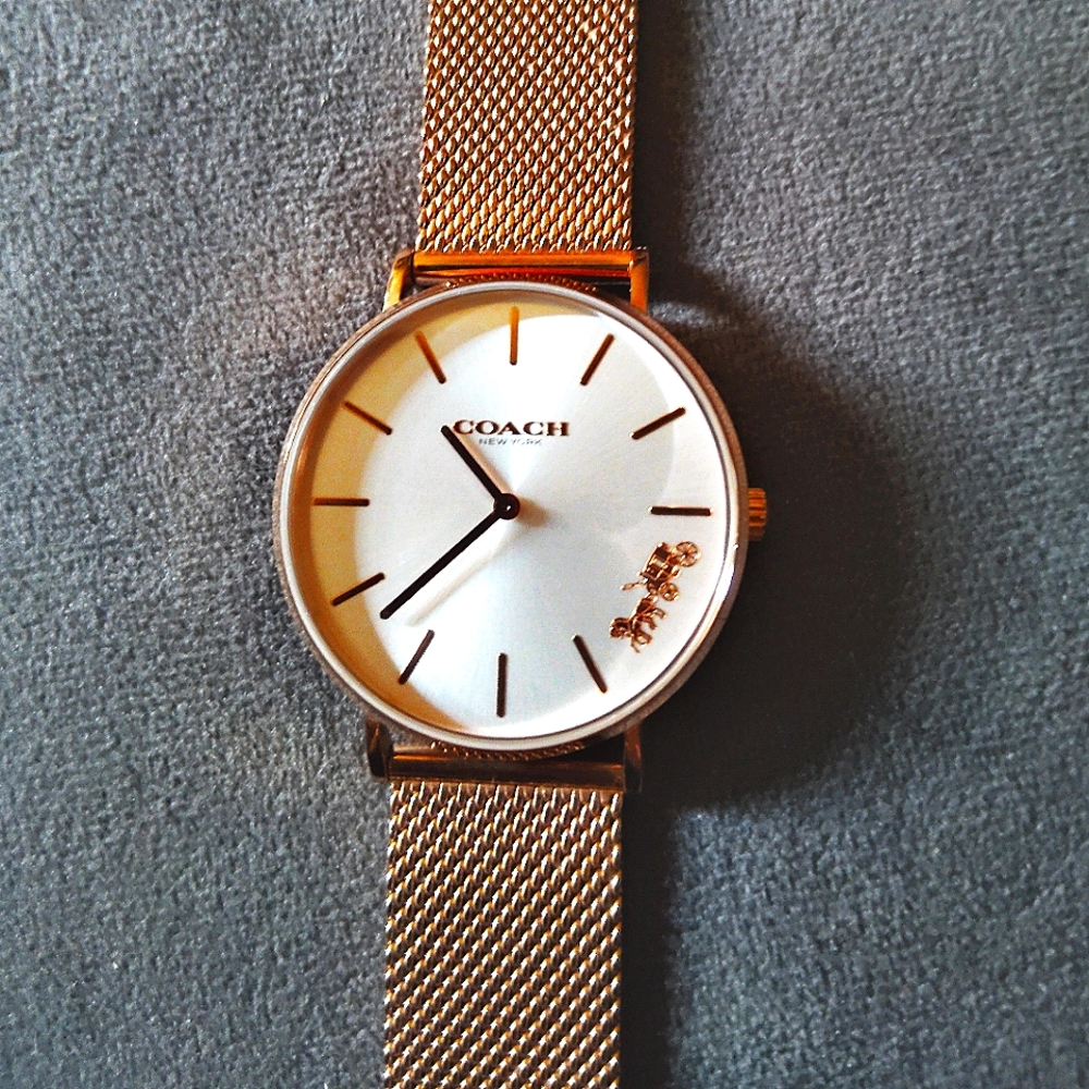 Coach watch